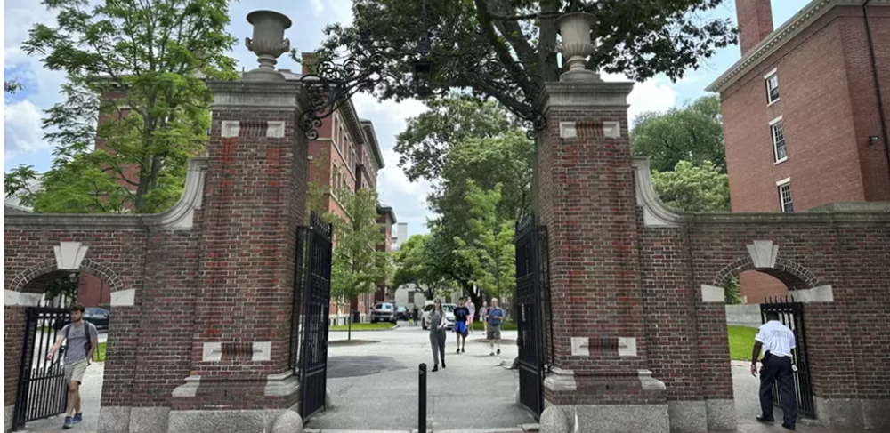 Ivy League Schools Rake in Billions