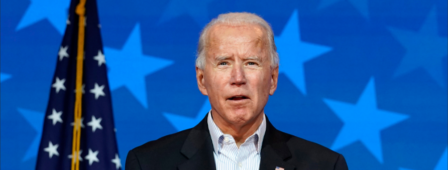 biden plans to promote citizenship pathway for illegals