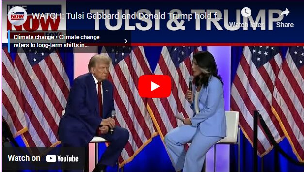 Tulsi Gabbard and Donald Trump hold forum event